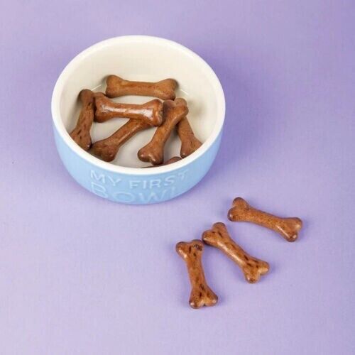 Scruffs My First Bowl Puppy Dog Bowl 13cm Blue