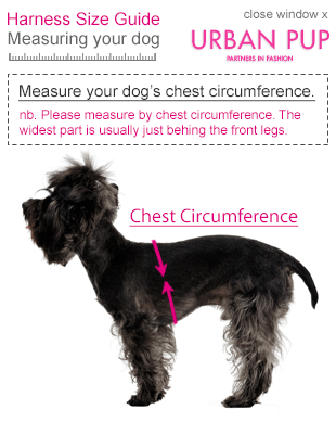 Urban Pup Wallace and Gromit Dog  Harness