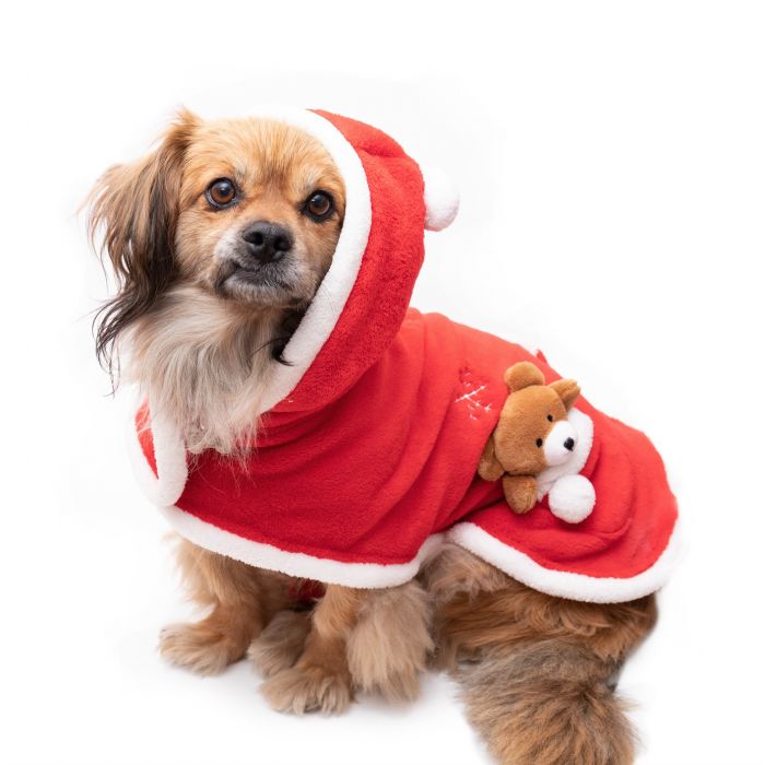 Teddy Santa Dog Cape